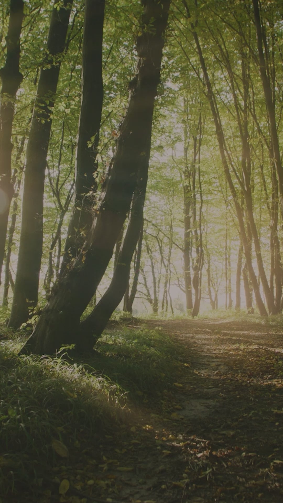 Load video: As our promise for lasting impact for generations to come, we’re proud to commit 1% of our annual sales to protecting the health and safety of people and our precious planet through our partnership with 1% for the Planet.