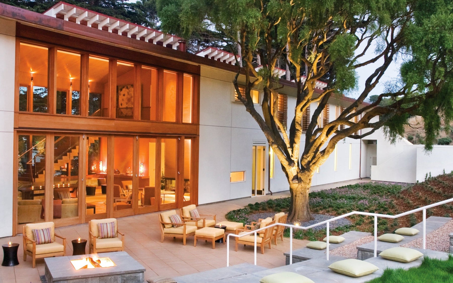 Modern house exterior with outdoor seating area, pool, and tree