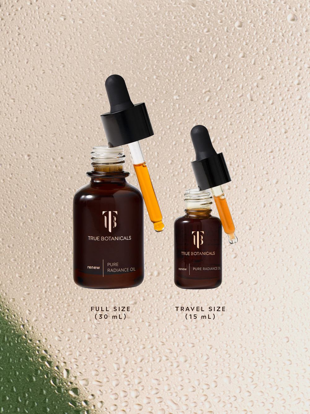 Two open bottles of True Botanicals Renew Pure Radiance Oil with droppers resting on top. The larger bottle is labeled full size (30 mL) and the smaller one travel size (15 mL). Both are amber glass with rich golden oil visible in the droppers. The background features soft water droplets on a beige surface.